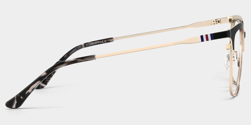 Triton Eyewear (Black)