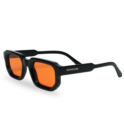 Pioneer Sunglasses