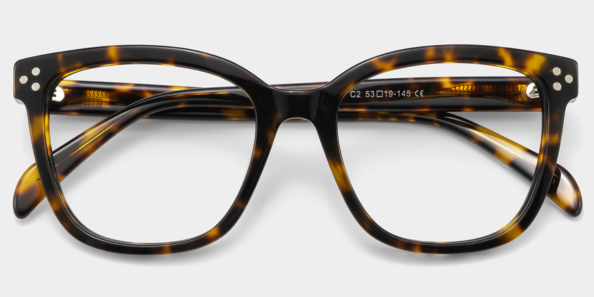 Regent Acetate Eyewear [Tortoise]