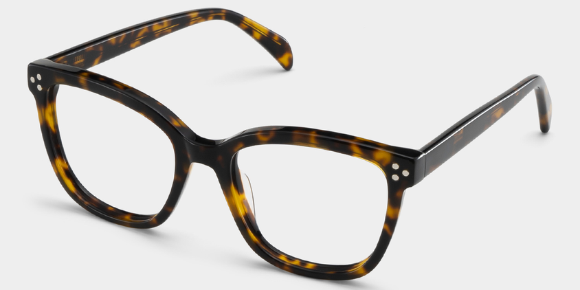 Regent Acetate Eyewear [Tortoise]