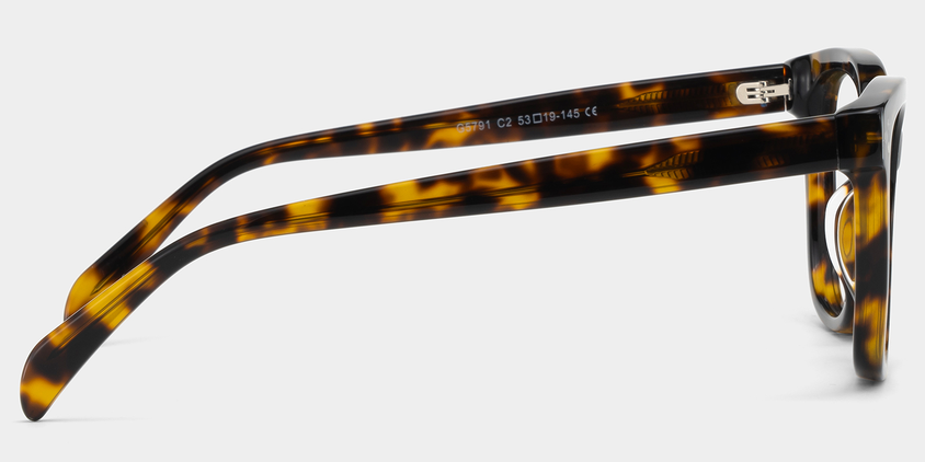 Regent Acetate Eyewear [Tortoise]