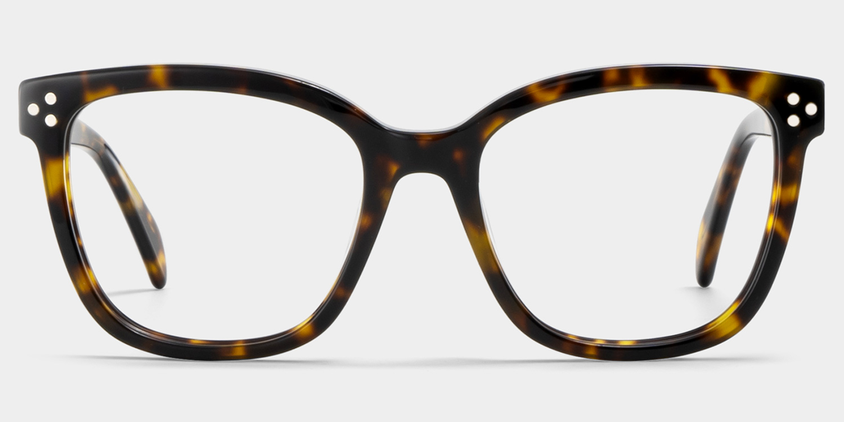 Regent Acetate Eyewear [Tortoise]